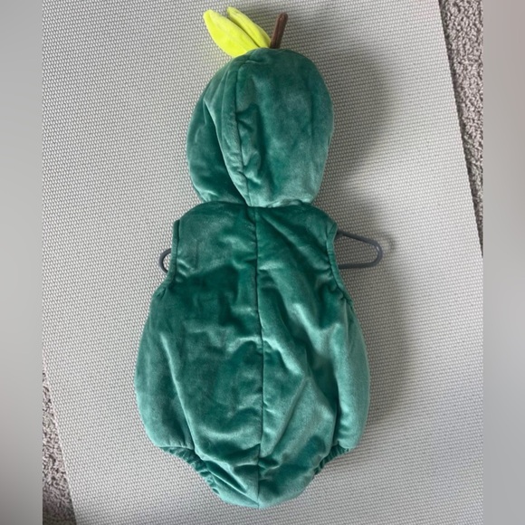Pottery Barn Kids Avocado Halloween Costume – Size 0–6M Like New - Picture 2 of 3